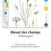 Bleuet des champs